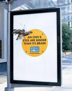 Наружная реклама "Owl", бренд: Science World, агентство: Rethink Communications Inc
