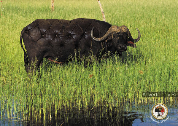 Печатная реклама "Buffalo", бренд: Bufalo, агентство: Memac Ogilvy Label Tunisia