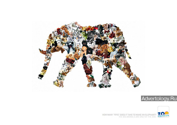 Печатная реклама "Fifis", бренд: Madrid Zoo, агентство: Sra. Rushmore United