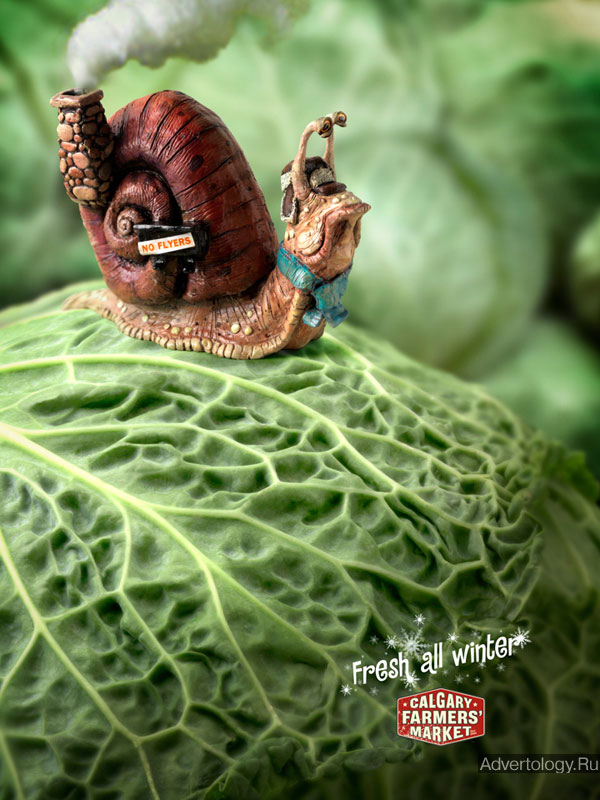 Печатная реклама "Cabbage", бренд: Calgary Farmers Market, агентство: Wax