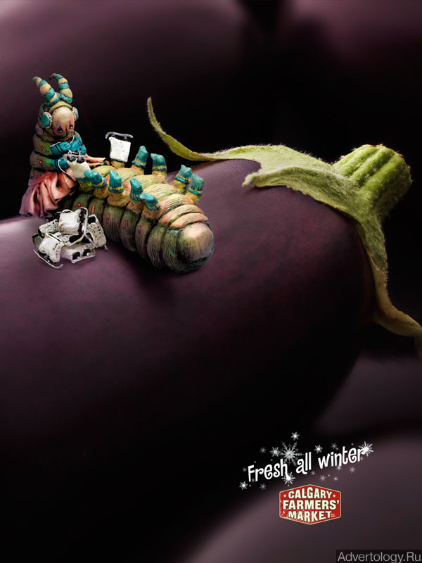 Печатная реклама "Eggplant", бренд: Calgary Farmers Market, агентство: Wax