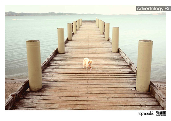 Печатная реклама "Dog 2", бренд: America`s Next Top Model, агентство: Colenso BBDO